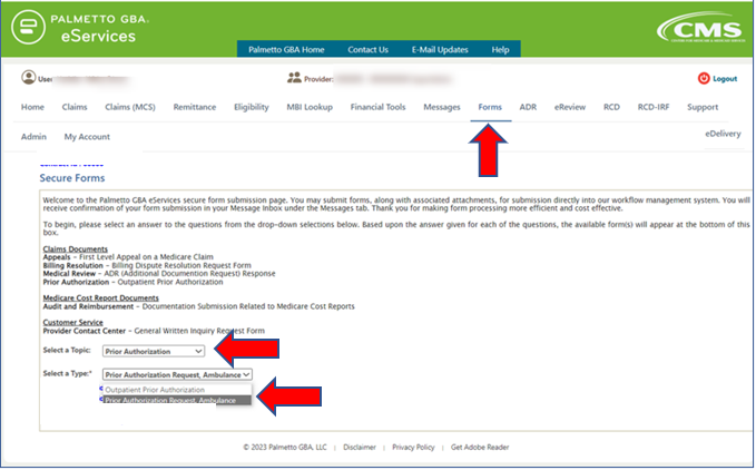 Screen of Prior Authorization Form